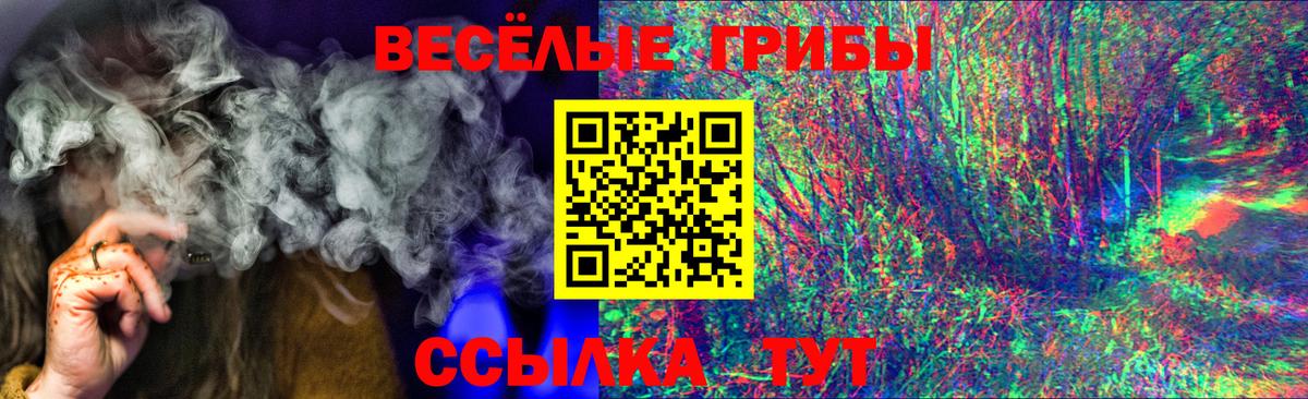 Волхов  Псилоцибиновые грибы Cubensis  Вход с VPN  Псилоцибиновые грибы Cubensis 
