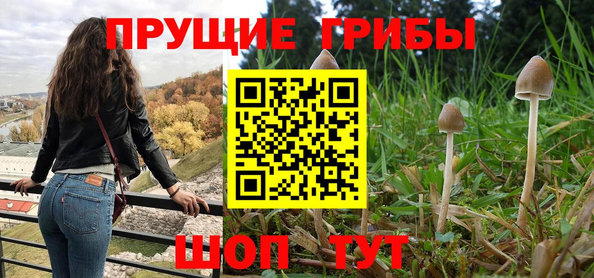 Волхов  Гашиш  МЕТАДОН  Вход с VPN  Меф  Мефедрон   Кокаин  Марихуана 